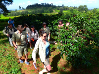 Gorily, rafting, najkrajšia hora, safari  a oceán – Afrika 2014