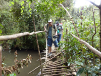 Gorily, rafting, najkrajšia hora, safari  a oceán – Afrika 2014