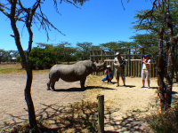 Gorily, rafting, najkrajšia hora, safari  a oceán – Afrika 2014