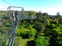 Gorily, rafting, najkrajšia hora, safari  a oceán – Afrika 2014