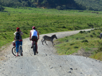 Gorily, rafting, najkrajšia hora, safari  a oceán – Afrika 2014