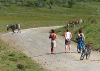 Gorily, rafting, najkrajšia hora, safari  a oceán – Afrika 2014