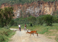 Gorily, rafting, najkrajšia hora, safari  a oceán – Afrika 2014