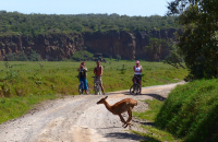 Gorily, rafting, najkrajšia hora, safari  a oceán – Afrika 2014
