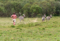 Gorily, rafting, najkrajšia hora, safari  a oceán – Afrika 2014
