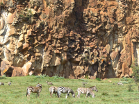 Gorily, rafting, najkrajšia hora, safari  a oceán – Afrika 2014