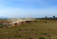 Gorily, rafting, najkrajšia hora, safari  a oceán – Afrika 2014