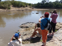 Gorily, rafting, najkrajšia hora, safari  a oceán – Afrika 2014