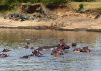 Gorily, rafting, najkrajšia hora, safari  a oceán – Afrika 2014