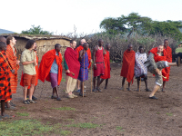 Gorily, rafting, najkrajšia hora, safari  a oceán – Afrika 2014