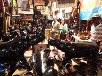 Gorily, rafting, najkrajšia hora, safari  a oceán – Afrika 2014