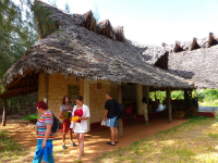 Gorily, rafting, najkrajšia hora, safari  a oceán – Afrika 2014