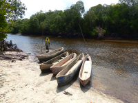 Gorily, rafting, najkrajšia hora, safari  a oceán – Afrika 2014