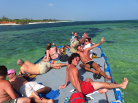 Gorily, rafting, najkrajšia hora, safari  a oceán – Afrika 2014