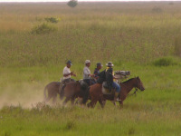 Los Lanos