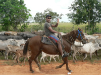 Los Lanos