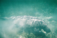 Mexiko, Belize, Guatemala