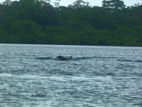 Mexiko, Belize, Guatemala