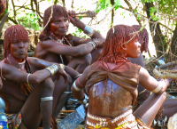 OMO 2012