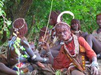 OMO 2012