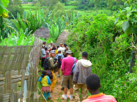 OMO 2012