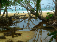 Panama, Bocas del Torro