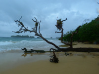 Panama, Bocas del Torro