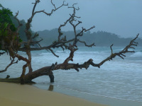 Panama, Bocas del Torro