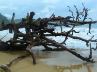 Panama, Bocas del Torro