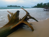 Panama, Bocas del Torro