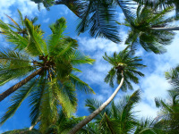 Panama, súostrovie San Blas