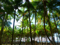 Panama, súostrovie San Blas