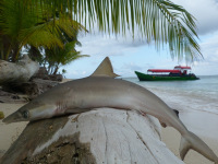 Panama, súostrovie San Blas