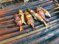 Panama, súostrovie San Blas, indiánska osada Kunov