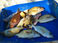 Panama, súostrovie San Blas, indiánska osada Kunov