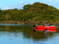 Pantanal