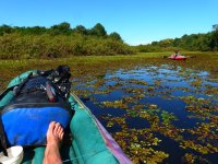 Pantanal