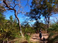 Pantanal
