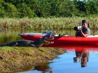 Pantanal