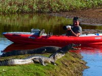 Pantanal