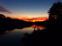 Pantanal