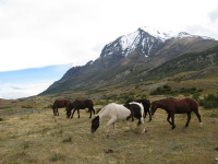 Patagónia