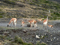 Patagónia