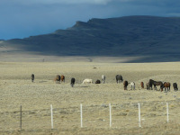 Patagónia