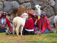 peru-bolivia-2012-77