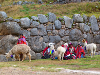 peru-bolivia-2012-79