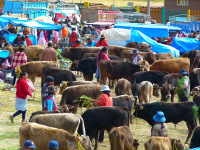 peru-bolivia-2012-88