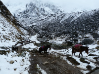 peru-bolivia-2012-96