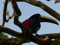 Predvianočná Venezuela