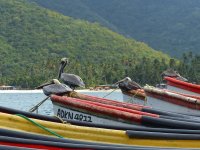 Predvianočná Venezuela